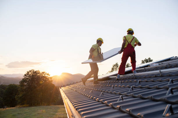 Best Roof Moss and Algae Removal  in Cottage Grove, OR